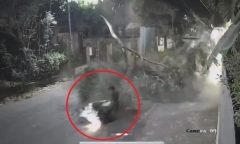 Clip: Kinh hãi cành cây lớn bất ngờ rơi xuống đường, người đi xe máy bị hất văng