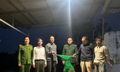 Phát hiện con vật quý hiếm 