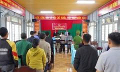 Huỷ hoại rừng tự nhiên, 3 đối tượng lãnh án tù