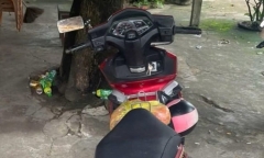 Tin tức pháp luật mới nhất ngày 11/10: Bắt đối tượng trộm xe mô tô ở Quảng Trị
