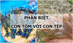 Phân biệt con tôm với con tép như thế nào?