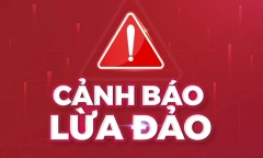 Sập bẫy đầu tư tài chính, người phụ nữ ở Hà Nội mất hơn 8 tỷ đồng