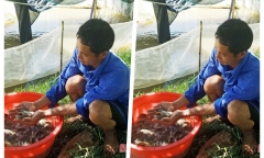 Anh nông dân thoát nghèo bền vững nhờ nuôi loài cá được ví như 