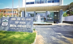 Lý do Công ty Cổ phần Hoàng Anh Gia Lai bị xử phạt