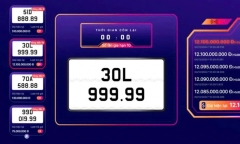 Đại gia đấu giá biển ô tô 30L- 999.99 đã nộp đủ 12,105 tỷ đồng