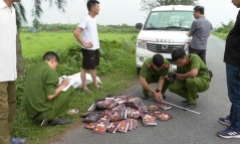 Sản xuất, buôn bán khô gà, heo cháy tỏi giả, 2 đối tượng bị khởi tố