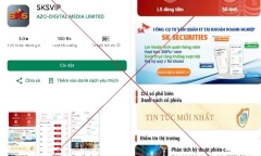 Đầu tư 
