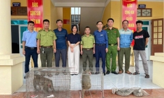 Tin tức thời sự 24h: Người dân Hải Phòng giao nộp nhiều động vật quý hiếm