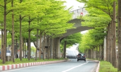 Tin tức dự báo thời tiết hôm nay (27/5): Miền Bắc dịu mát