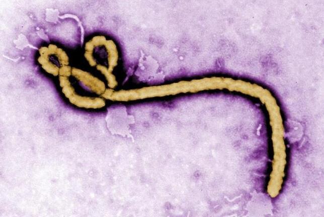 Hai loại vắc xin Ebola vượt qua thử nghiệm về độ an toàn