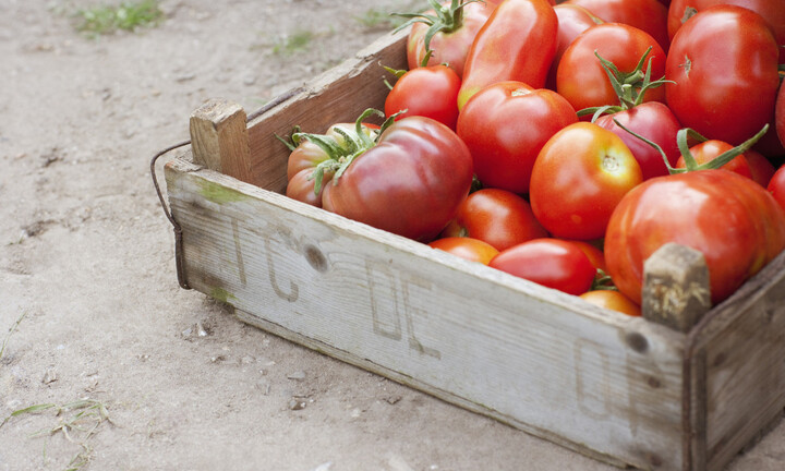 10 thực phẩm không nên bảo quản trong tủ lạnh