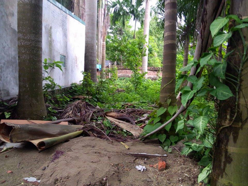 Hà Nội: Điều tra nghi án cô gái trẻ bị sát hại, giấu xác