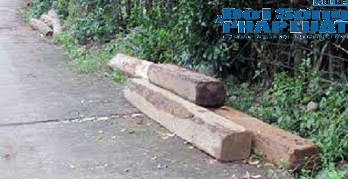 Đột kích điểm nóng khai thác gỗ lậu tại một xã vùng biên