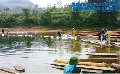 Gian nan con đường vận chuyển gỗ lậu của lâm tặc