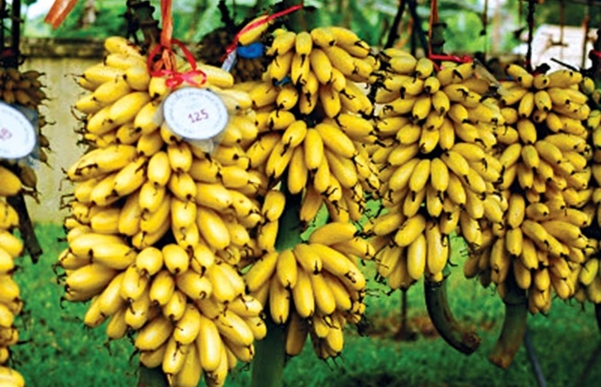 Người Việt 3 miền kiêng ăn những món gì ngày Tết?