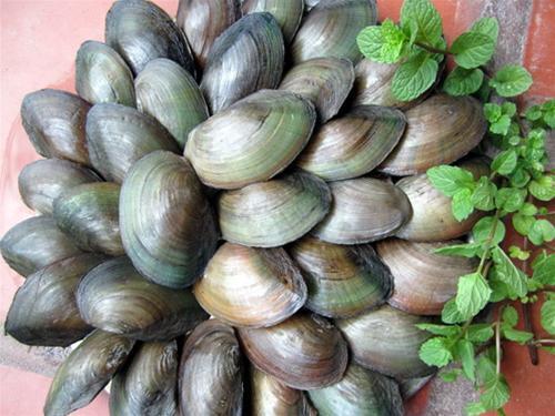Cách nấu cháo trai ngon tuyệt ngày lạnh