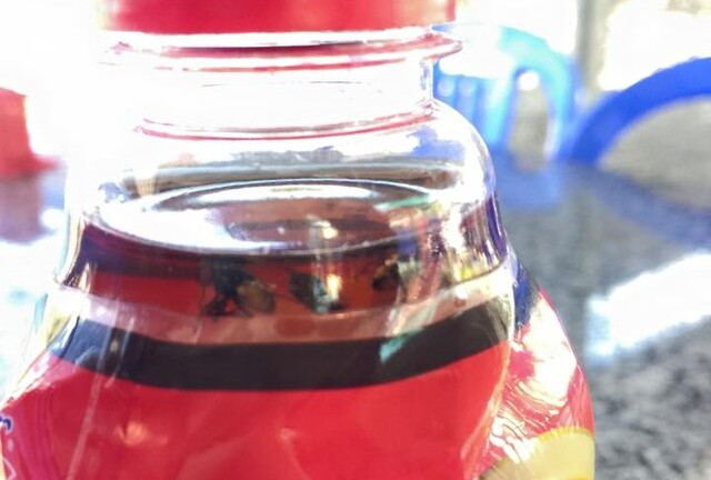 Phát hiện lông... người trong chai Dr Thanh của Tân Hiệp Phát?