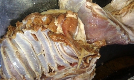 Hơn 80kg thịt, cá diêu hồng bốc mùi mang đến bếp ăn tiểu học