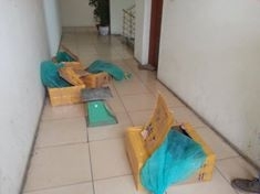 Hơn 80kg rắn hổ mang chúa ngoe nguẩy trong xe khách