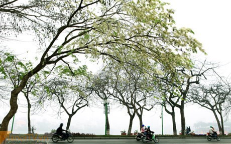 Thời tiết hôm nay (16/3): Miền Bắc hết mưa phùn, trời hửng nắng