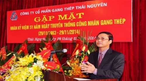 Vì sao Tổng giám đốc Công ty CP Gang thép Thái Nguyên bị mất chức?