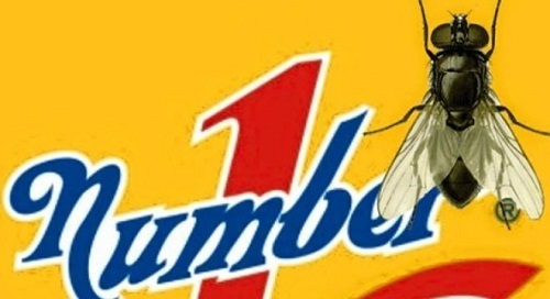 Giải mật chuyện “con ruồi nửa tỷ” khuynh đảo đại gia Tân Hiệp Phát