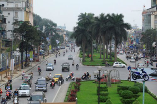 Cây “lạ” được thay trên phố Hà Nội ban đêm?