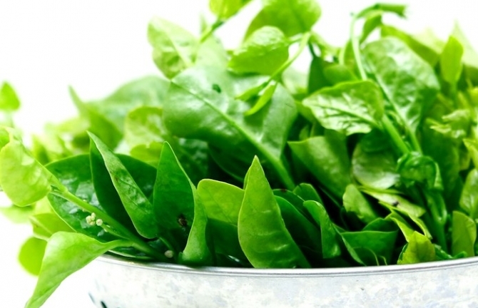 Mồng tơi – món ngon giải nhiệt mùa hè