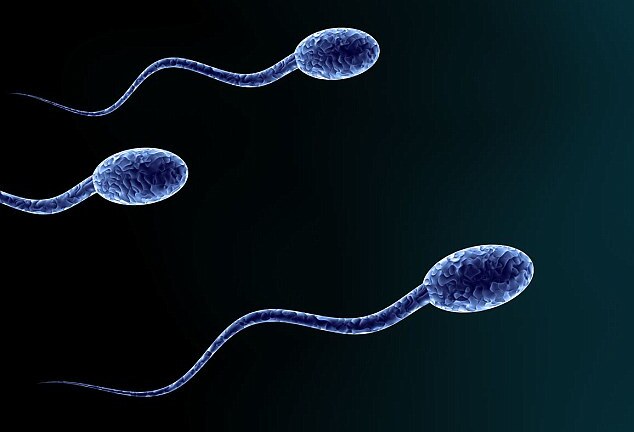 Ăn rau quả chứa thuốc trừ sâu làm giảm lượng tinh trùng