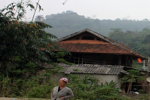 Ba trẻ bơ vơ trong thảm kịch bố giết mẹ sau giấc mơ bị hổ vồ