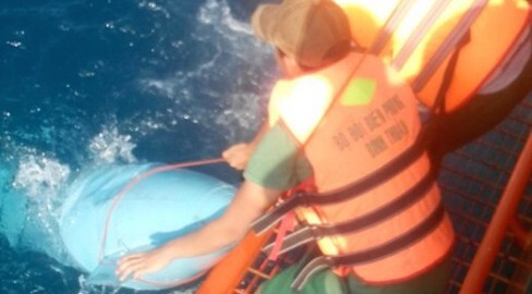 Máy bay Su-22 rơi ở Bình Thuận: Tìm thấy khung kính buồng lái