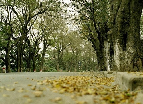 Dự báo thời tiết ngày 20/4: Không khí lạnh tràn về miền Bắc xua tan nắng nóng