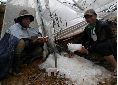 Mưa đá, lốc xoáy quét qua Đà Lạt