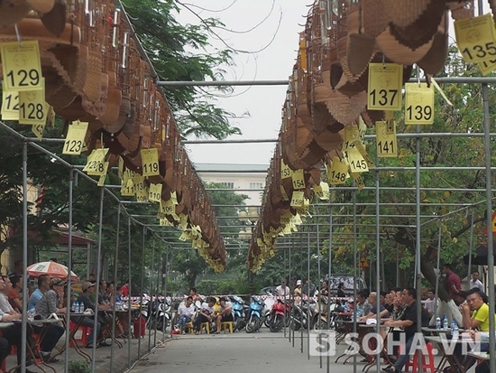 Mang chim đi thi, một phụ nữ Hà Nội đoạt giải