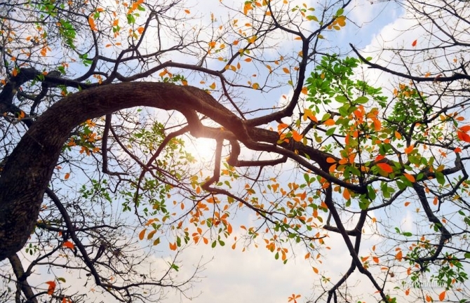 Dự báo thời tiết 27/4: Đầu tuần Bắc Bộ nắng đẹp