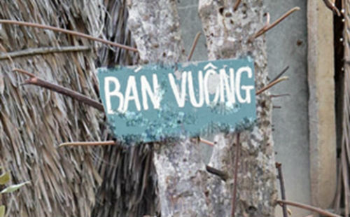 Chuyện lạ sau cái chết bí ẩn của 3 thanh niên ở đầm tôm 