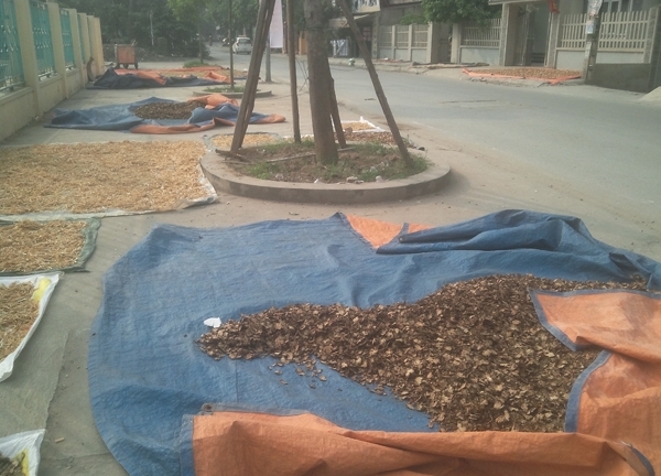 Đột kích “siêu thị thần dược”, hãi hùng chuyện đánh cược tính mạng với lang chợ