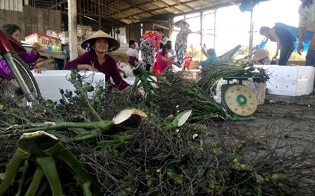 Những