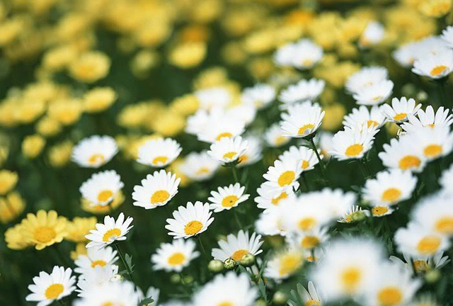 Chuyện tình cảm của bạn thứ Bảy (16/5)