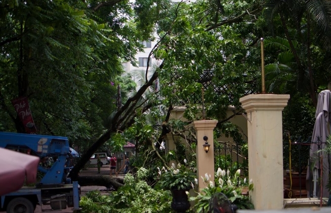 Hà Nội: Cành xà cừ lớn đổ vào nhà hàng sau cơn mưa