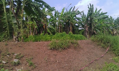 Vì sao gia đình từ chối nhận thi thể, lo hậu sự cho người chết?