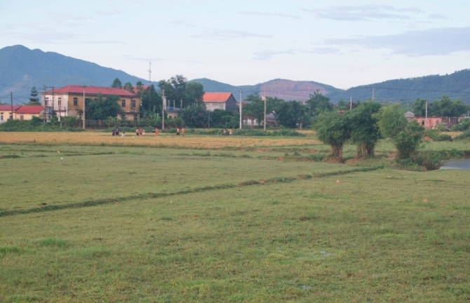 Đi làm đồng, người đàn ông bị sét đánh tử vong tại chỗ