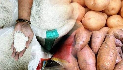 Gạo giả gây chết người vào Việt Nam: Bộ y tế nói gì?