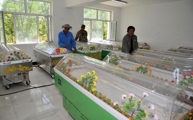 Chồng đóng quan tài băng để giữ xác vợ trong phòng ngủ