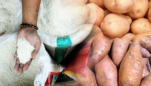 Gạo giả Trung Quốc gây chết người: Mẹo đơn giản để nhận dạng