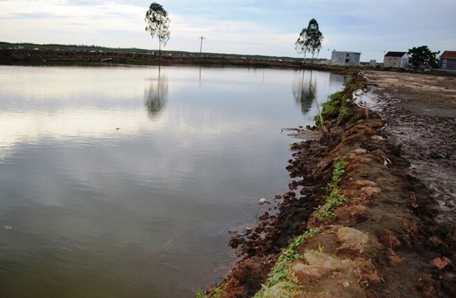 Sẩy chân xuống hồ tôm, 2 anh em họ tử vong