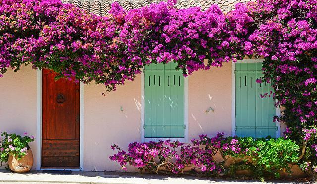 Vận may của bạn hôm nay (27/5)