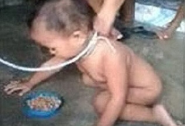 Phẫn nộ hình ảnh mẹ xích cổ cho con bò và ăn như động vật