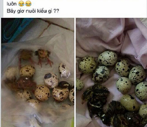 Nắng nóng
