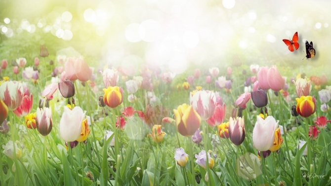 Vận may của bạn hôm nay (1/6)